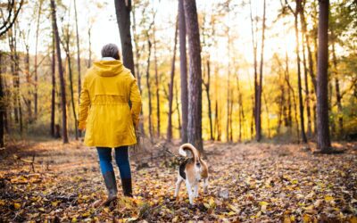 Tails on the Trails: How to Safely Hike with Your Furry Friend